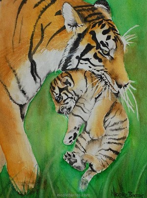  Tiger And Her Cub