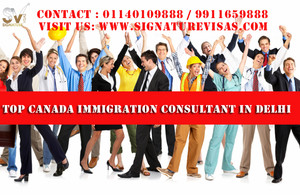 Top immigration company in Delhi, India