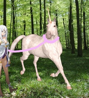  Zerida has caught and tamed an Beautiful Wild White Unicorn