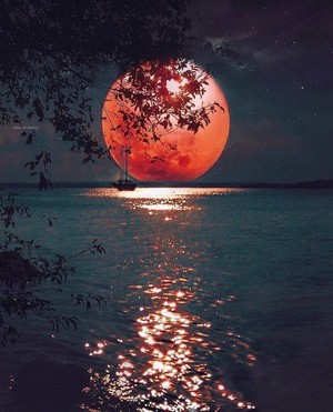  beautiful moon for my moonfairy Kirsten🌕💖