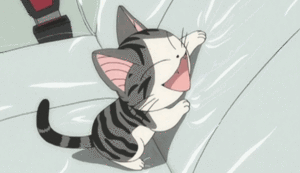  cute animé cat /ᐠ｡ꞈ｡ᐟ✿\