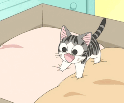  cute アニメ kitten/ᐠ｡ꞈ｡ᐟ✿\