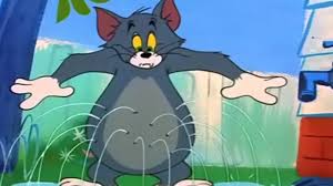 funny tom - Tom và Jerry bức ảnh (42738160) - fanpop