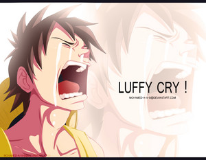  *Monkey.D.Luffy : One Piece*