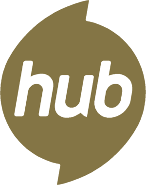  2014 Hub Network Logo 95
