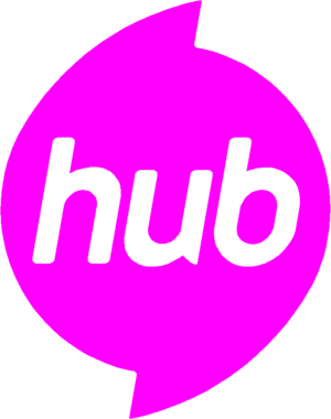  2014 Hub Network Logo 97