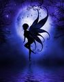 Beautiful Fairies - random photo