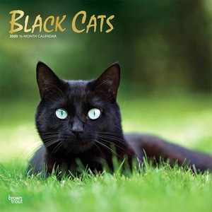 Calendar Pertaining To. Black Cats