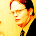 Dwight Schrute - the-office icon
