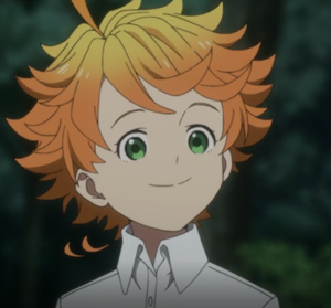 The Promised Neverland Images | Icons, Wallpapers and Photos on Fanpop