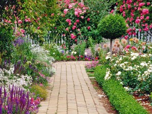 Flower Garden With A Walking Path