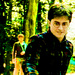 Harry Potter - daniel-radcliffe icon