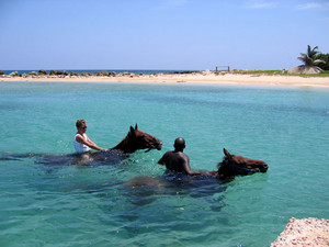 Horseback Riding In Jamaica