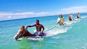 Horseback Riding In The Ocean