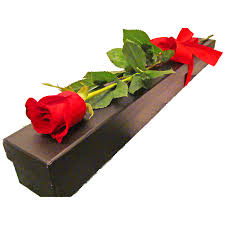  Long-Stem Rose In A Box