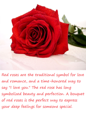 Meaning Of Red Rose