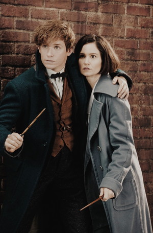  Newt/Tina - Fantastic Beasts And Where To Find Them