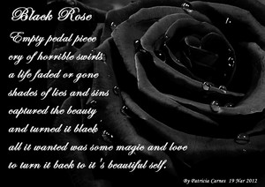 Quote Pertaining To The Black Rose