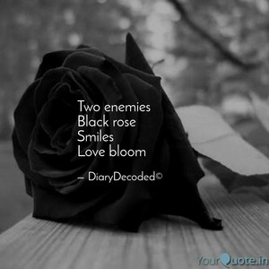 Quote Pertaining To The Black Rose