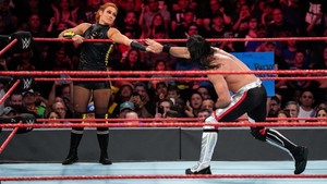  Raw 7/1/19 ~ Rollins/Lynch vs Mike and Maria Kanellis
