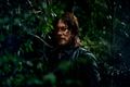 Season 9 Character Portrait ~ Daryl - the-walking-dead photo