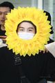 Sunflower Suga - bts photo