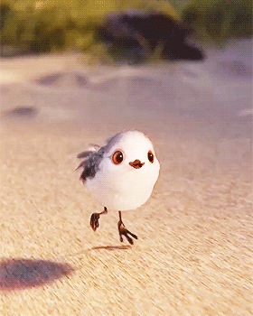 The Adorable Little Bird