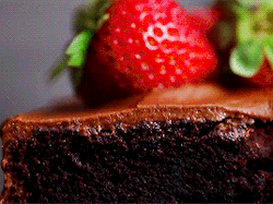  Ultimate チョコレート Cake