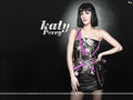  Katy Perry - katy-perry wallpaper