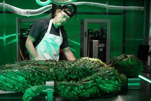  Swamp Thing - Episode 1.09 - The Anatomy Lesson - Promotional 写真