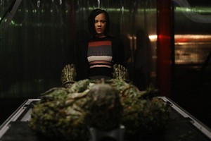  Swamp Thing - Episode 1.09 - The Anatomy Lesson - Promotional fotos