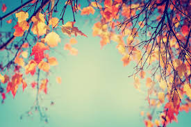  Autumn