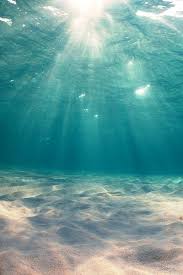  Beneath The Ocean Surface