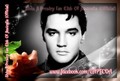 Elvis Fan creation - elvis-presley photo