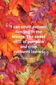  Quote Pertaining To Autumn