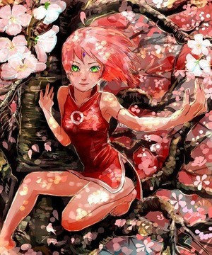  Sakura Haruna