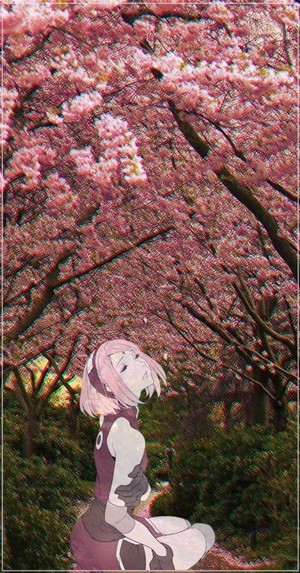  Sakura Haruna