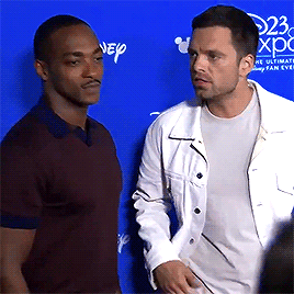  Sebastian Stan and Anthony Mackie pose for the cameras at D23Expo 2019