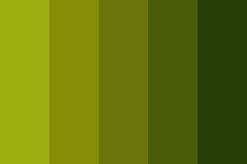  Shades Of oliva Green