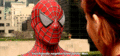 Spider-Man (2002) - spider-man fan art