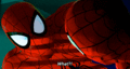 Spider-Man Into the Spider-Verse (2018)  - spider-man fan art