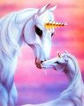 Unicorn💕 - unicorns photo