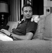 Marlon Brando And His Cat