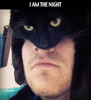 meow I am catman XD