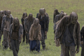 10x02 ~ We Are the End of the World ~ Beta - the-walking-dead photo