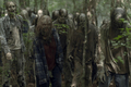 10x02 ~ We Are the End of the World ~ Gamma - the-walking-dead photo