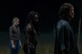 10x03 ~ Ghosts ~ Daryl and Michonne - the-walking-dead photo