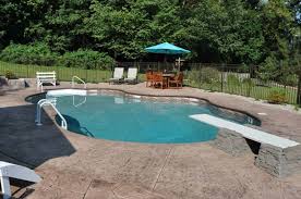  Backyard Swimming Pool With Diving Board