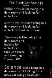  Black Cat Analogy
