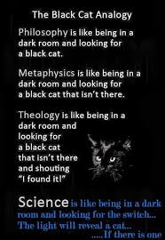 Black Cat Analogy
